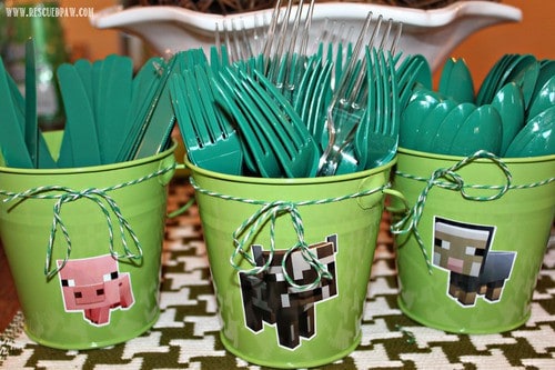 Minecraft Birthday Party & Recipe