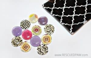 DIY Mod Podge Stones