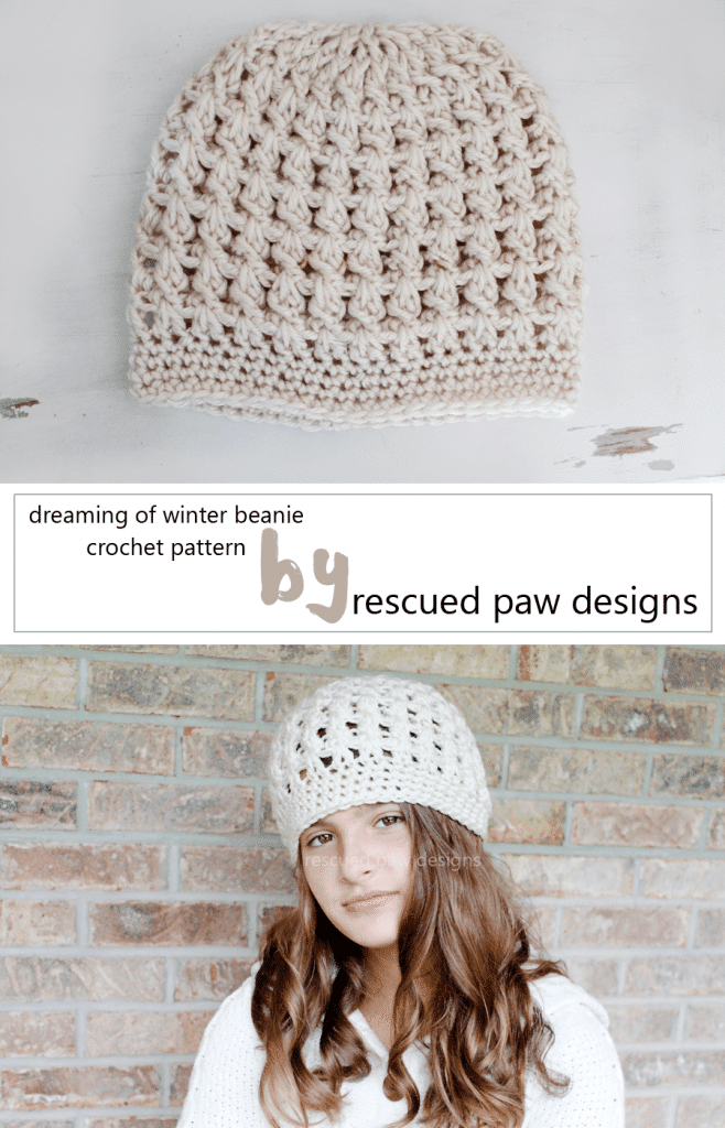 Dreaming of Winter Beanie Crochet Pattern Easy Crochet 