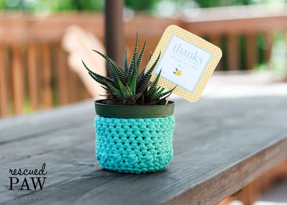 Crochet Plant Holder 