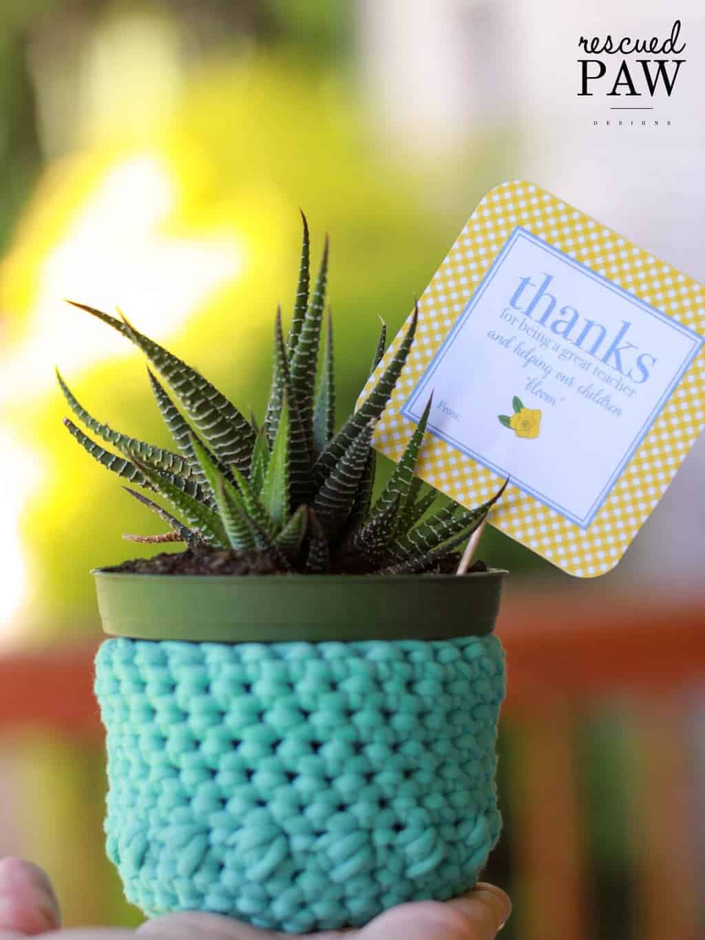 Crocheted Succulent Plant Holder 