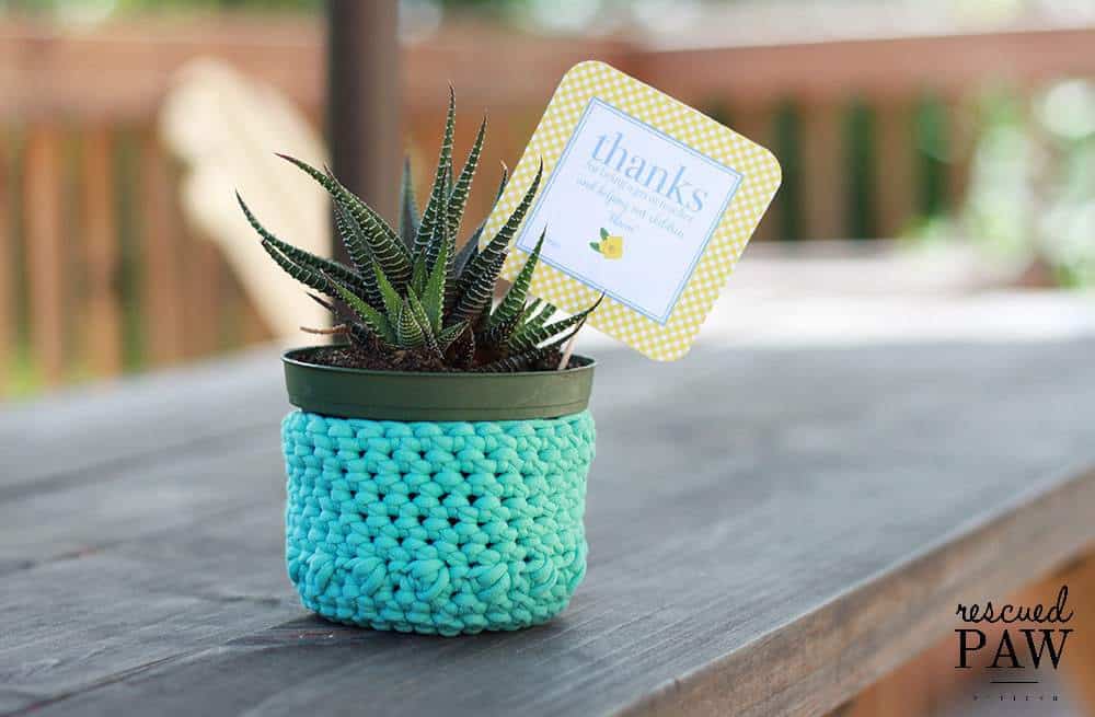 Crochet Plant Holder Pattern