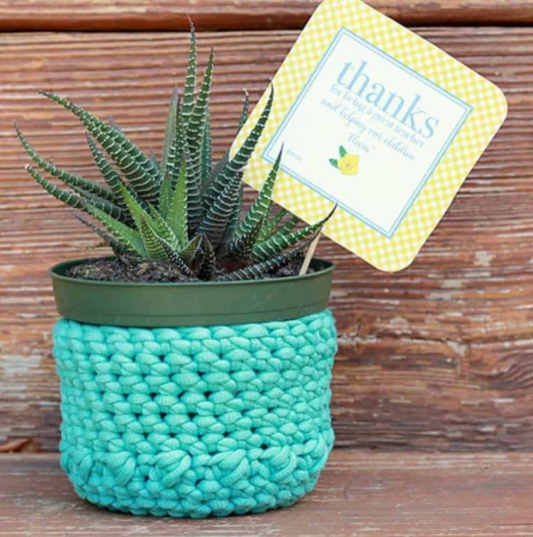 Crochet Plant Holder Pattern: Teacher Gift