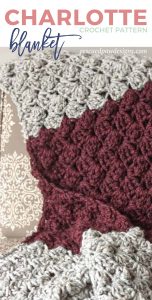 Beginner Crochet Blanket Pattern - Easy Crochet Patterns