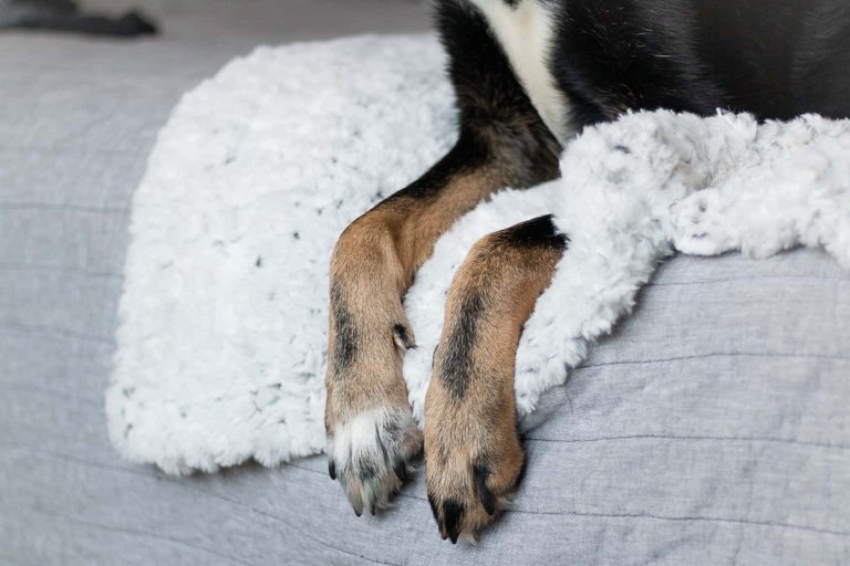 Faux Fur Yarn Crochet Blanket Pattern for Dogs