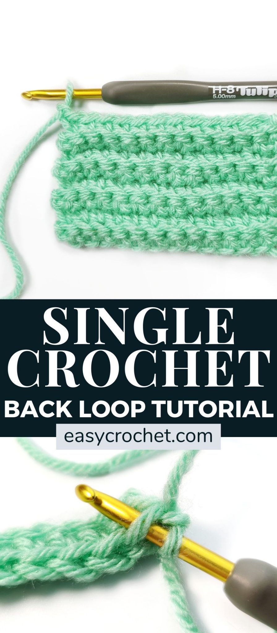 Back Loop Crochet using the Single Crochet Stitch Easy Crochet Patterns