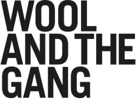 Wool and the Gang Brand Yarn