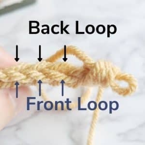 back loop and front loop of as titch 