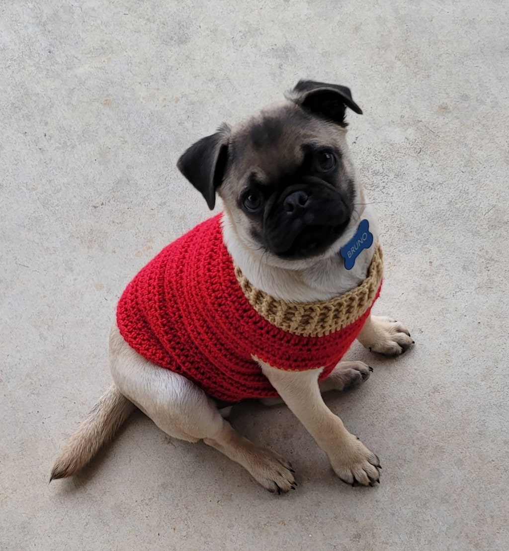 Pug sweaters for dogs sale