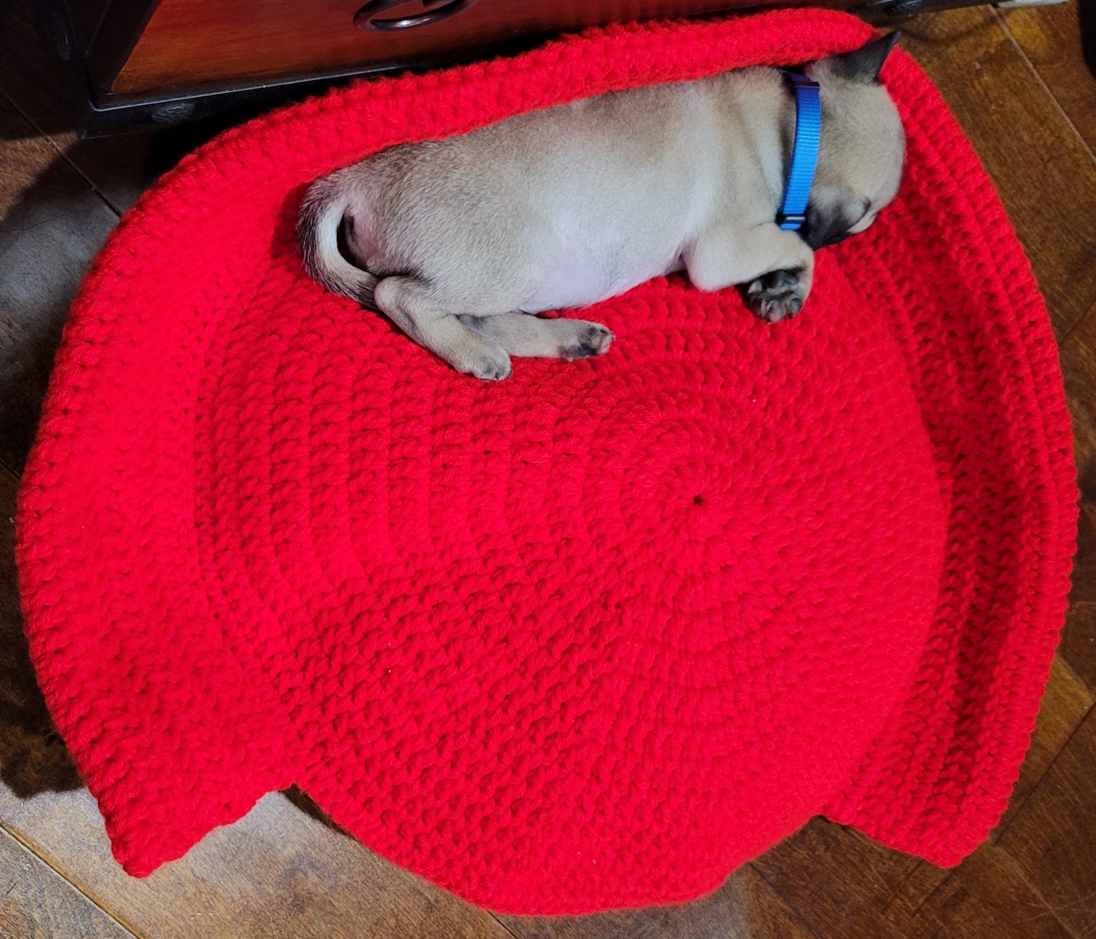 Small Dog Bed Crochet Pattern Pattern - Easy Crochet Patterns