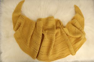 Missing Holiday Sun Shawl