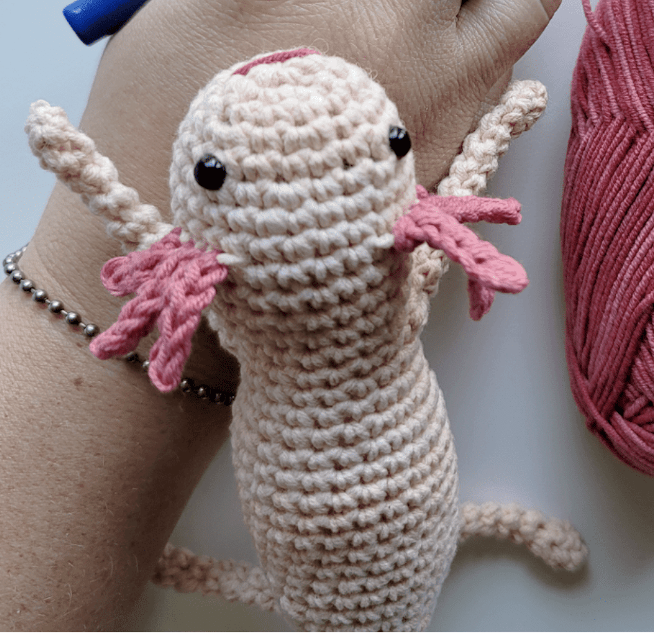 PATTERN and VIDEO Beginner Crochet Axolotl Pattern With Video