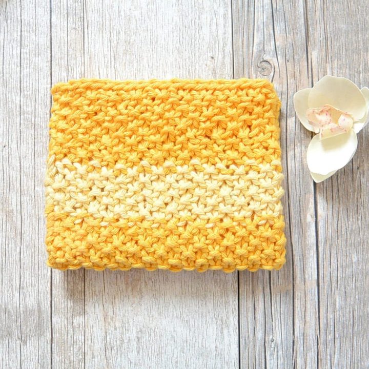 Image for Easy Knit Waschloth Pattern