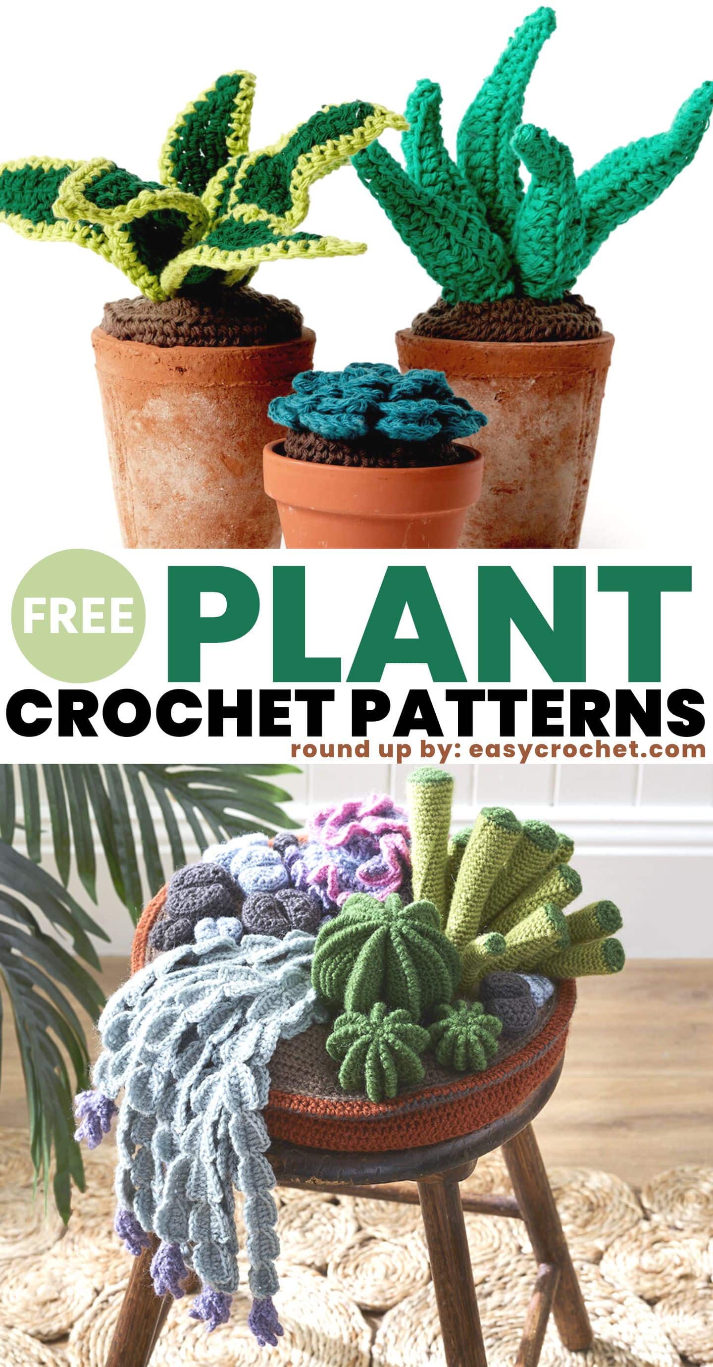 Top 10 Free Patterns for Crochet Plants - Easy Crochet Patterns