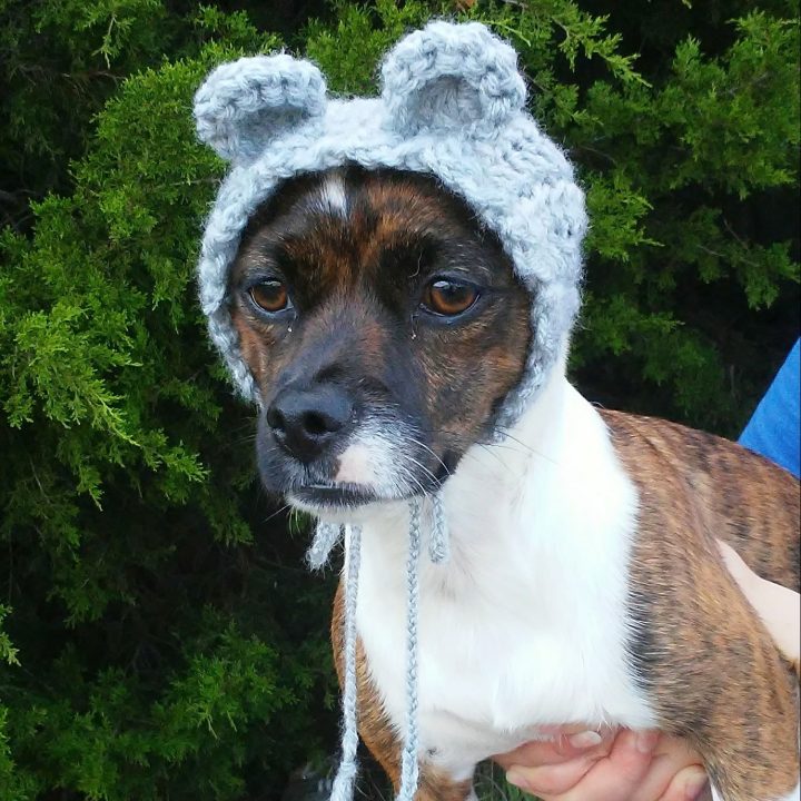 Image for Dog Bear Cowl – Snood Crochet Pattern