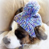 Image for Classic Crochet Dog Beanie 