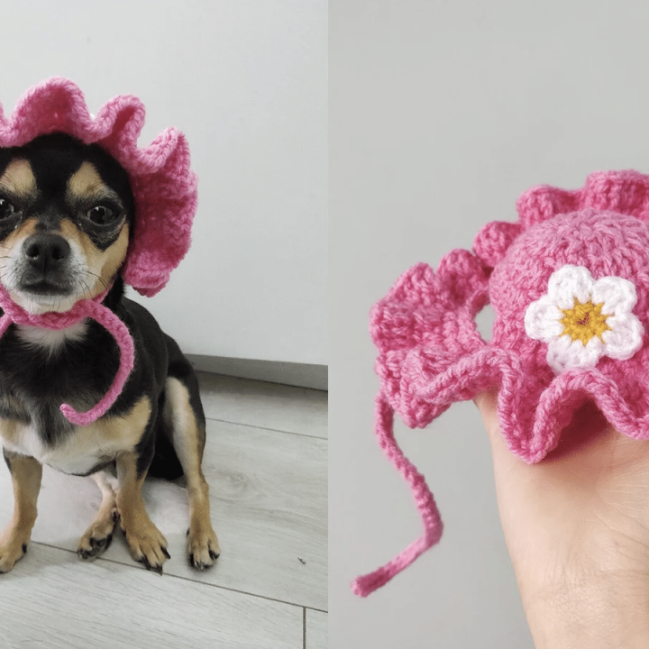 Image for Bucket Flower Dog Hat With Ruffles 