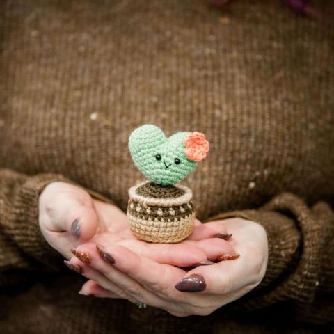 Image for Heart Cactus Free Crochet Pattern