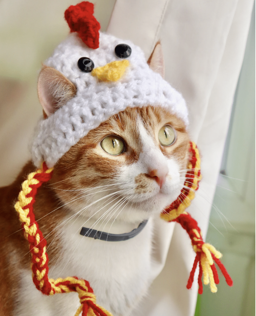 13 Adorable Crochet Cat Hat Patterns Easy Crochet Patterns