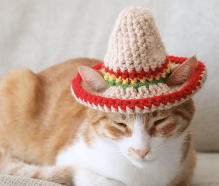 Halloween Cat Crochet Kit