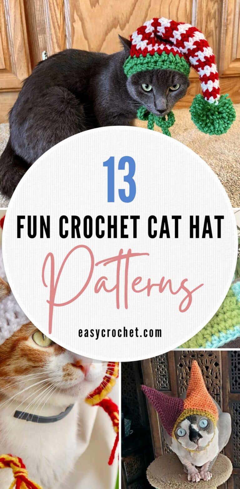 13 Fun & Adorable Crochet Cat Hat Patterns