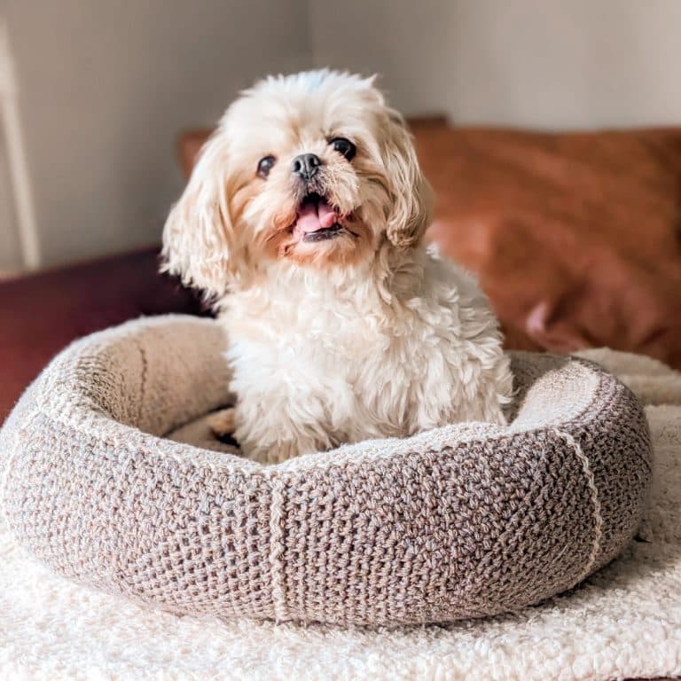 Crochet Dog Bed