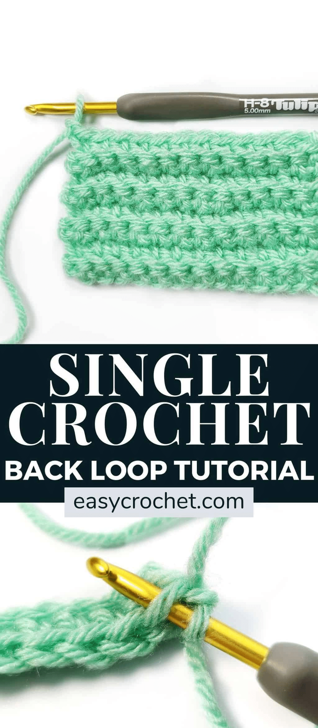 Back Loop Crochet using the Single Crochet Stitch Easy Crochet Patterns